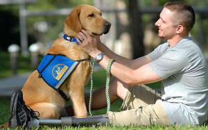 Military vet with service dog